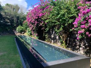 a swimming pool in a garden with pink flowers at Senhora da Rosa, Tradition & Nature Hotel in Ponta Delgada