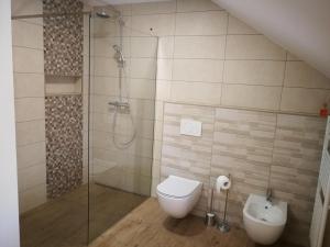 a bathroom with a shower and a toilet and a sink at Apartment 199 in Zgornje Gorje