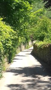 un camino de tierra con árboles y una pared de piedra en Gite 4 personnes au calme et tout confort, en Saint-Vallier