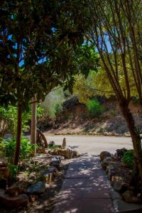 a path through a park with trees and a road at Hotel L'Oleandro in Villasimius