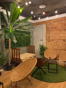 una habitación con sillas, una mesa y una planta en Black Swan Hostel, en Barcelona