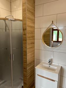 a bathroom with a shower and a sink and a mirror at Willa Góralka in Miedzygorze