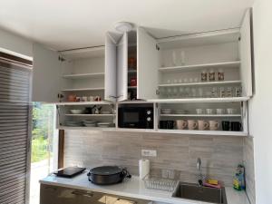 Dapur atau dapur kecil di Apartman Borovi Divčibare
