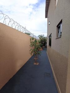 einen Flur zwischen zwei Gebäuden mit einem Baum in der Mitte in der Unterkunft Casa linda caldas novas in Caldas Novas