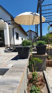 Vonkajšia záhrada v ubytovaní Relax Balaton Apartmanok