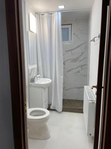 a white bathroom with a toilet and a shower at Sol apartaments 3 camere in Târgu-Mureş