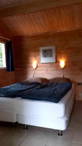 ein Schlafzimmer mit einem Bett, auf dem zwei Lampen stehen in der Unterkunft kemphaan in Appelscha