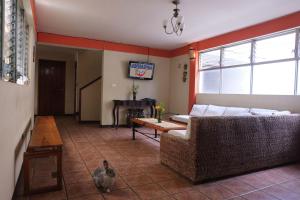 Μια τηλεόραση ή/και κέντρο ψυχαγωγίας στο Hostal La Buena Onda