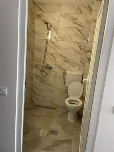 a bathroom with a toilet and a shower at Apartments Picioski in Peštani