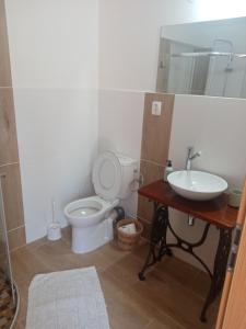 een badkamer met een toilet, een wastafel en een spiegel bij Ralsko-Hradcany - apartmán in Hradčany