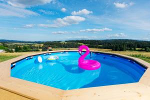 ein Schwimmbad mit einem rosa Schwan in der Mitte in der Unterkunft Przystanek Babia Apartamenty in Lipnica Wielka