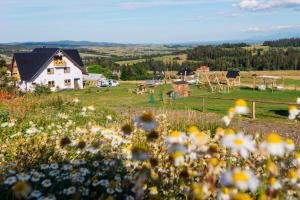 ein Haus auf einem Feld mit Blumen im Vordergrund in der Unterkunft Przystanek Babia Apartamenty in Lipnica Wielka