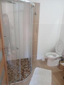 een badkamer met een douche en een toilet bij Ralsko-Hradcany - apartmán in Hradčany
