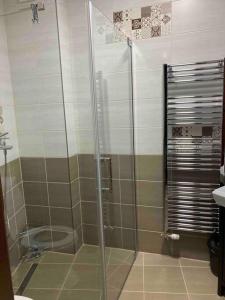 a shower with a glass door in a bathroom at Samadhi Aparthotel in Miercurea-Ciuc