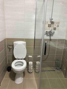 a bathroom with a toilet and a shower at Samadhi Aparthotel in Miercurea-Ciuc +22 photos