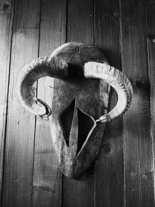 a pair of horns on a wooden floor at Ranch American in Târgovişte