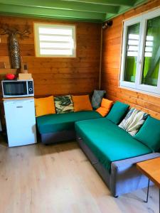 ein Wohnzimmer mit einem Sofa und einer Mikrowelle in der Unterkunft Le Ti Citron Vert in Saint-Leu