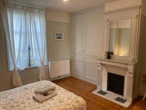 a bedroom with a bed with a mirror and a fireplace at Villa France Gall in Trouville-sur-Mer