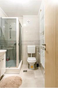 a white bathroom with a toilet and a shower at Apartman Borislava in Trebinje