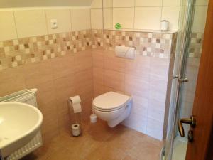 a bathroom with a toilet and a sink at Apartment U Anděla in Dlouhá Ves