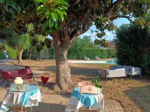 dwa stoły i krzesła siedzące pod drzewem w obiekcie Le Magnolia, chambre d'hôte au calme w mieście Saumur