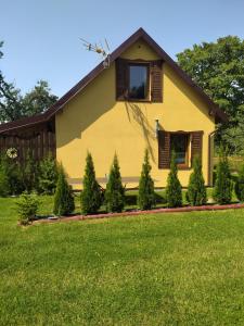 a yellow house with christmas trees in front of it at Domki Białogarda 