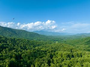 an aerial view of a forest with mountains in the background at --Mountain Chalet Getaway with Breathtaking View Next to Tail of Dragon-- in Robbinsville