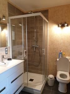 een badkamer met een douche, een toilet en een wastafel bij Gite Les hauts du Lac in Carla-Bayle