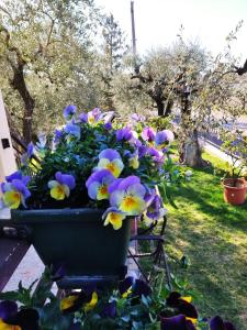 a pot of purple and yellow flowers on a stand at Appartamenti Bellini in Bardolino