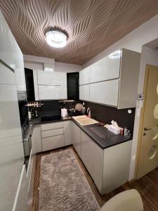 Párizsi Udvar Prémium Apartman 주방 또는 간이 주방 사진 13개 이상