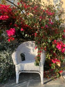 Κήπος έξω από το Hotel Alexandra - Boutique Hotel