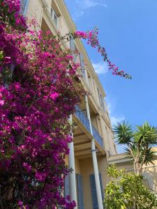 Κήπος έξω από το Hotel Alexandra - Boutique Hotel