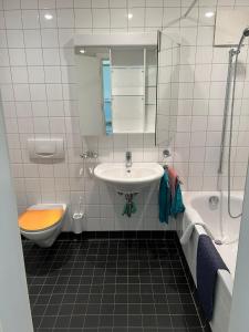 Vonios kambarys apgyvendinimo įstaigoje Haus Brunnmatt Zermatt