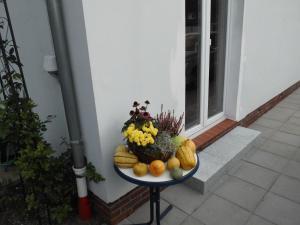 einen Teller Obst und Gemüse auf einem Tisch neben einem Fenster in der Unterkunft Apartment Hinrichs in Bad Zwischenahn