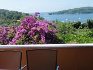 Duas cadeiras sentadas numa varanda com flores roxas em Apartment Luna em Molunat