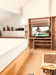 uma sala de estar com uma televisão e um sofá em FERTILE em Charleroi