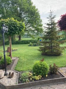 a park with a tree and a dog in the grass at FeWo Landruhe in Aurich