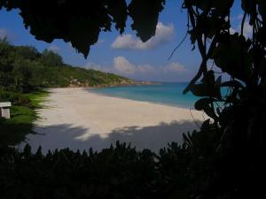 
a sandy beach with a view of the ocean at Hotel L'Ocean in La Digue
