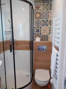 a bathroom with a toilet and a shower at Apartamenty nad Jeziorem in Międzybrodzie Żywieckie +101 photos