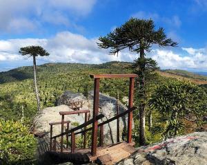 a wooden platform on top of a mountain with a tree at Hospedaje el Rosario in Angol