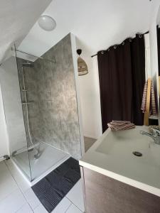 bagno con doccia e lavandino bianco di La Cuvée , duplex à Gevrey Chambertin. a Gevrey-Chambertin