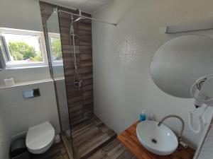 a bathroom with a shower and a sink and a toilet at VILA TAMI in Costinesti +42 photos