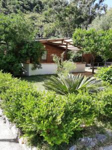 a house with bushes in front of it at Residence Eden in Marina di Camerota