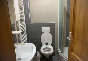 a bathroom with a white toilet and a sink at Tibra Residence in Sarajevo +14 photos