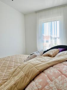 a bed in a white room with a window at Poppy in Bijeljina