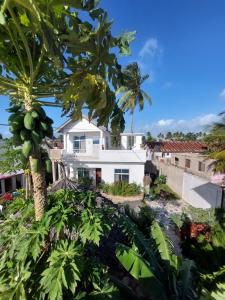 una casa blanca con una palmera delante de ella en Karibu House en Paje