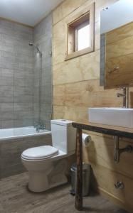 a bathroom with a toilet and a sink and a tub at Palafito Cucao in Cucao