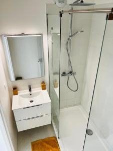 a bathroom with a sink and a shower at Appart. avec grande terrasse vue océan in Saint-Gilles les Bains