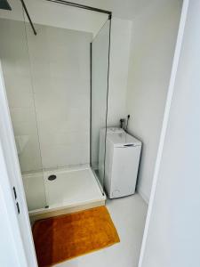 a small bathroom with a shower and a toilet at Appart. avec grande terrasse vue océan in Saint-Gilles les Bains