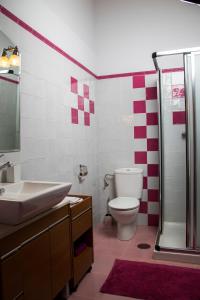 ein Bad mit einem WC, einem Waschbecken und einer Dusche in der Unterkunft Casa Azulete in Bimenes